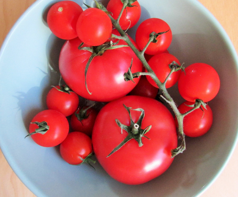 przepis na domowy keczup i ciekawostki o pomidorach